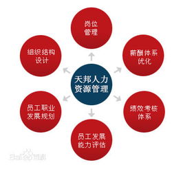 郑州社保公积金代理、劳务派遣与人事外包服务全解析